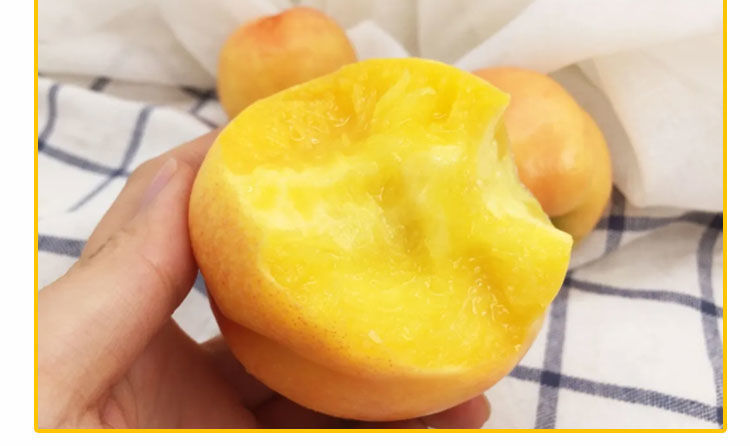 黄金油桃北戴河杏梅现摘当季新鲜儿童孕妇甜5斤 坏果包赔 200 2450g