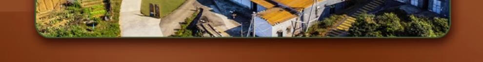 8e3ebc6e1e568ba9.jpg