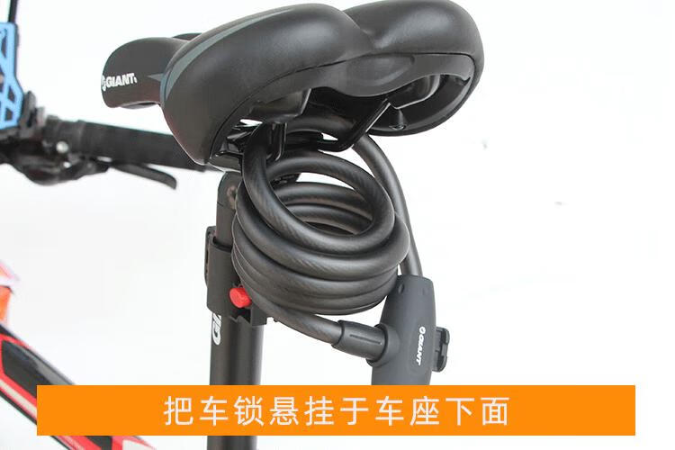 256cd4ccf5519070.jpg