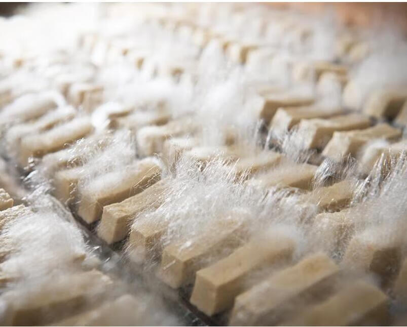 毛霉菌粉做毛豆腐菌粉霉千张霉豆渣毛豆腐20g菌豆腐乳臭豆腐菌粉华海