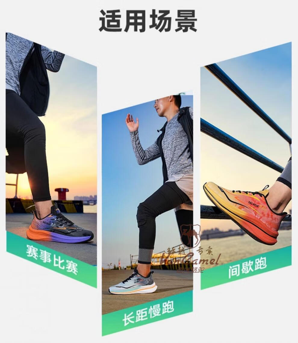 d332c96def4b0813.jpg