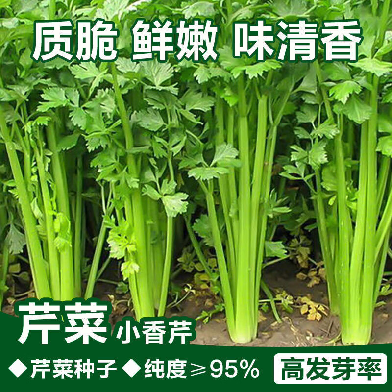d4dcc424aac3059b.jpg