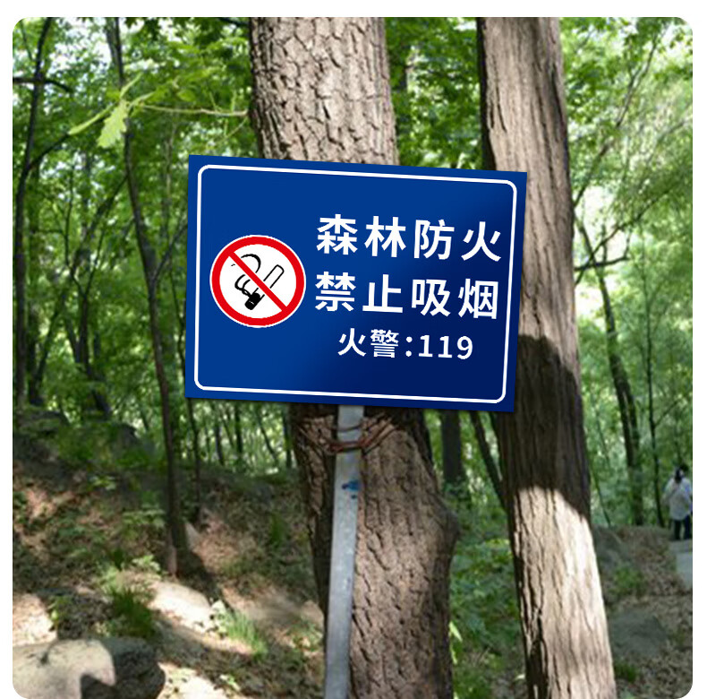 森林防火警示牌 森林重地严禁烟火标识牌 林区森林防火人人有责牌子
