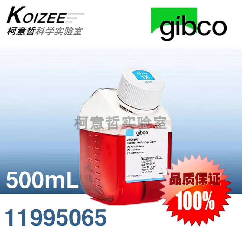 d8e866f9379ebb07.jpg