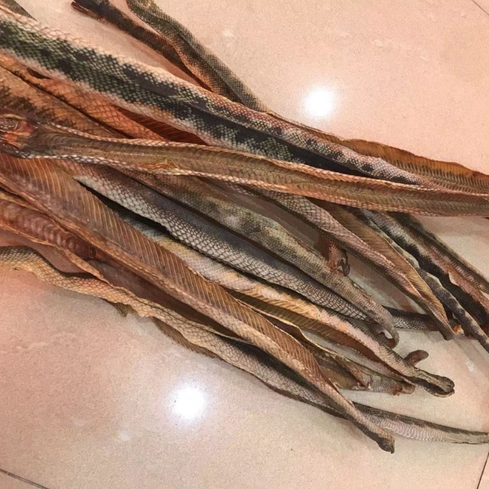 深海海蛇干货足干大号中和煲汤泡酒新鲜渔民自晒滋补营养漂亮 船晒