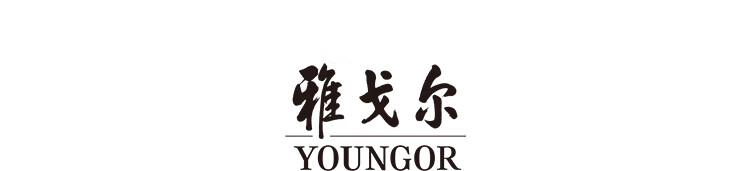 YOUNGOR Men's Goose Down Trench Coat Down Jacket Autumn Winter New 90% Down Business Warm Coat 429948 2