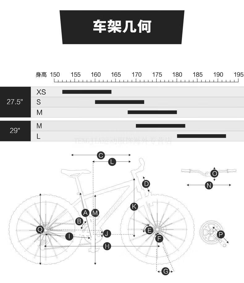 ff92246d328695b0.jpg