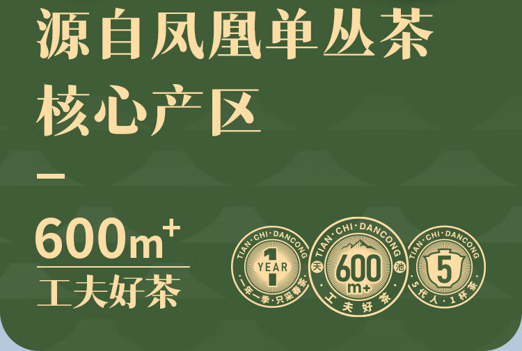 4813038048601944.jpg
