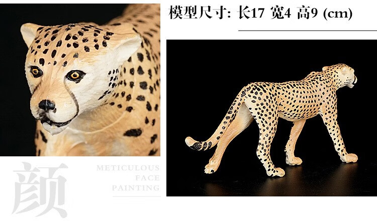 6ea0d6b6dfc7a62c.jpg