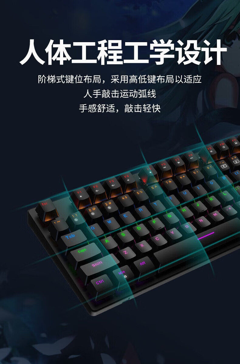 e692a2925e218a17.jpg