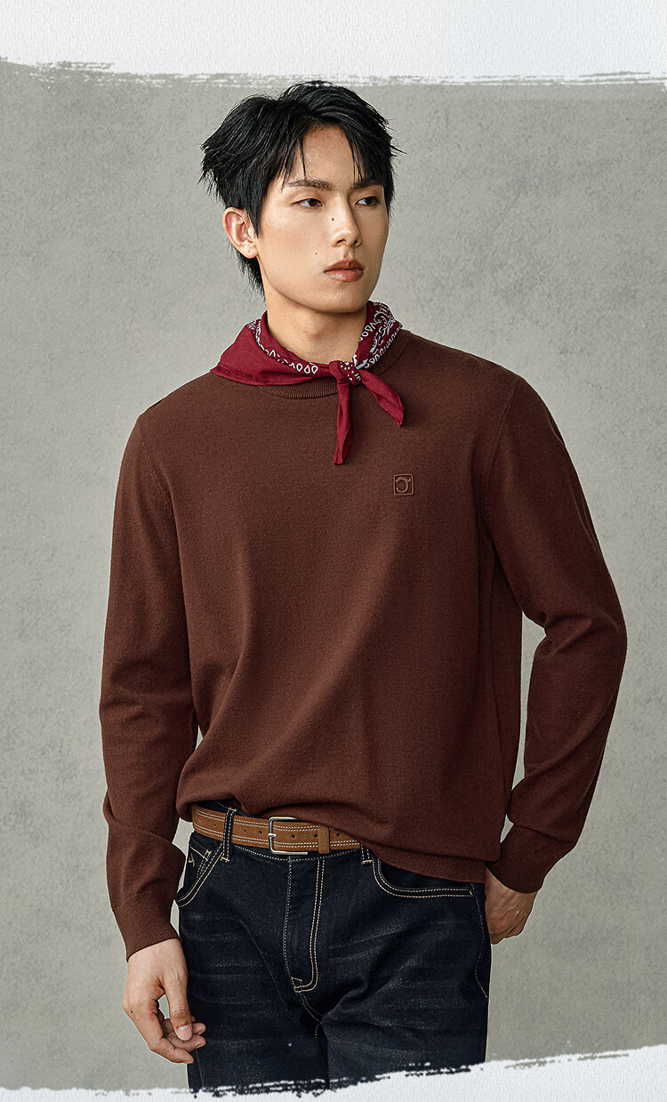 HLAHLA Men's Long Sleeve Knitted Sweater Autumn 25 Chinese Dragon Machine Washable Sweater HNZAW3J016A 3