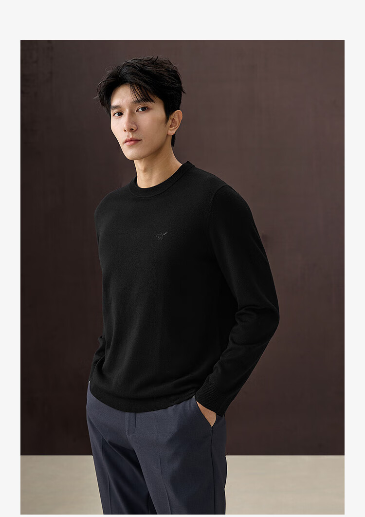 HLA Long-Sleeve Knit Sweater for Men, Light Business Chic Ageless Round Neck Pullover, Winter Wear for Me 3