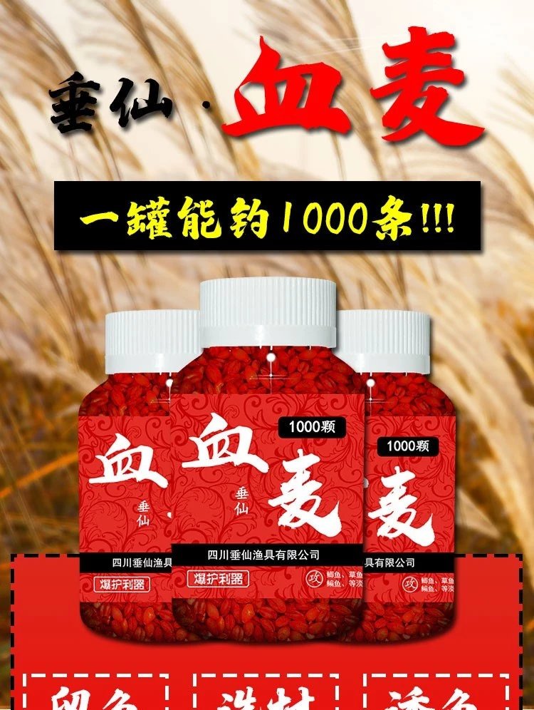 【爆护优选】血麦鱼饵鲤鱼竞技麝香料颗粒挂钩麦子直接 两罐2000颗