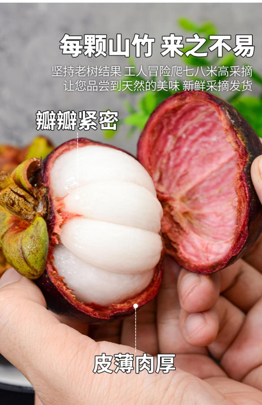 更多参数>>原产地:泰国山竹等级:6a包装形式:礼盒装种类:沙竹货号:xy