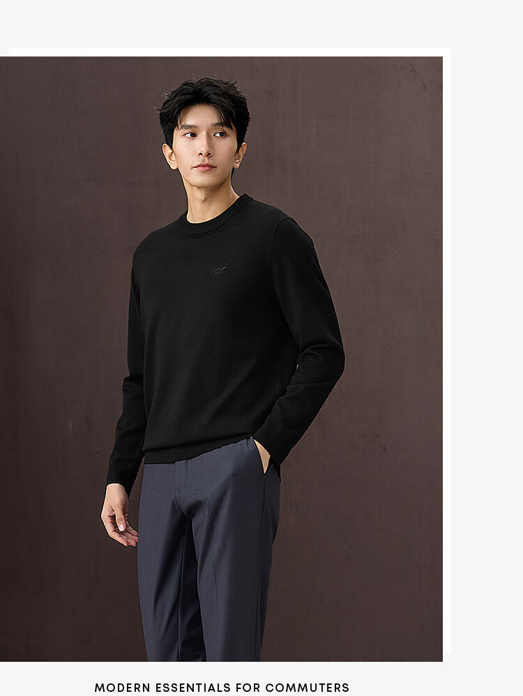HLA Long-Sleeve Knit Sweater for Men, Light Business Chic Ageless Round Neck Pullover, Winter Wear for Me 5