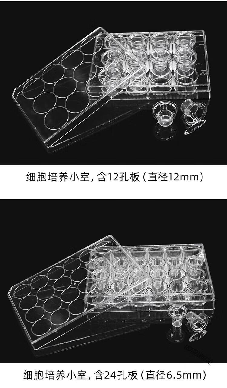 10ee85e2090635f5.jpg