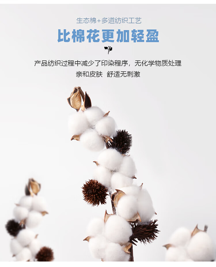 81c7881b6f8d57a6.jpg