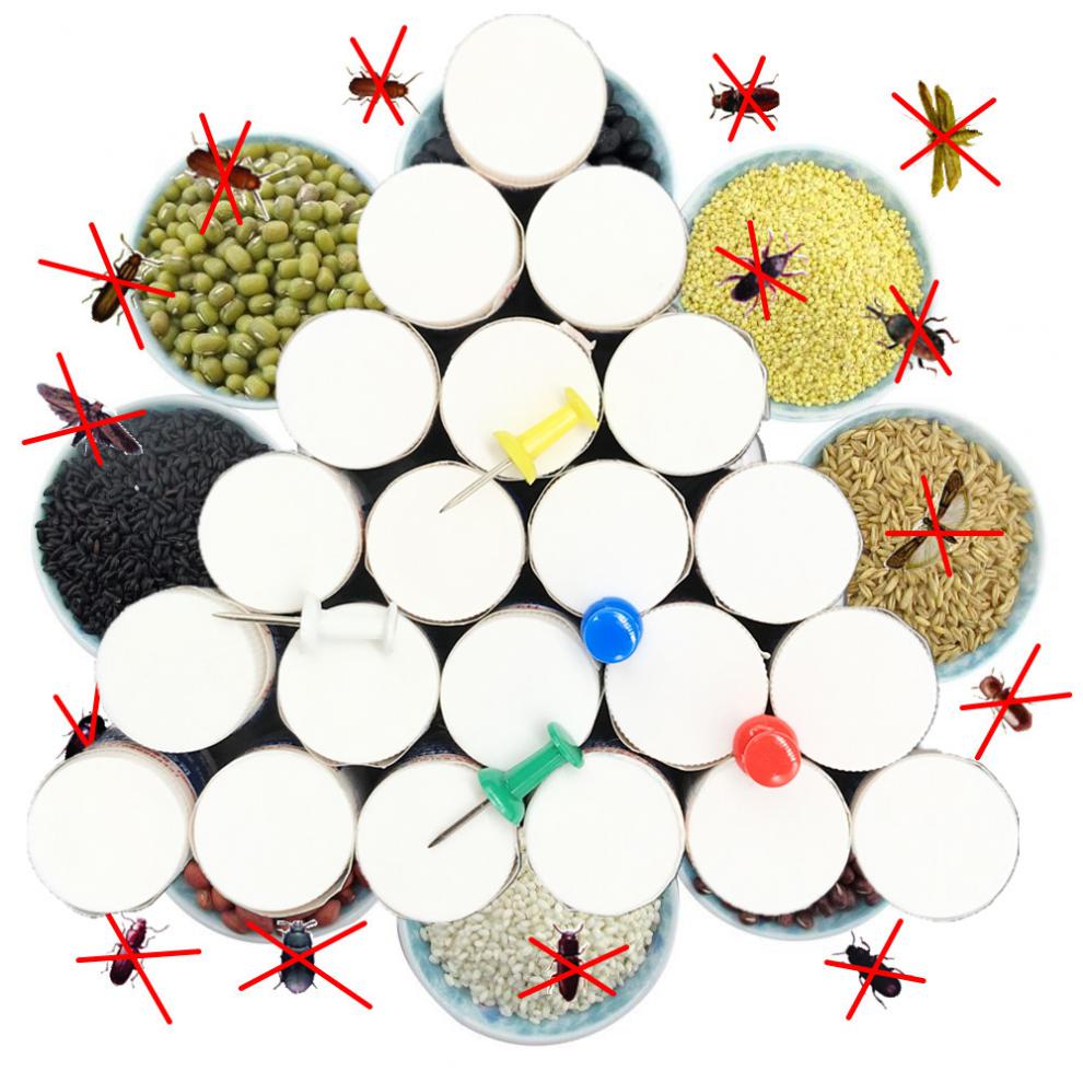 粮食防虫药家用粮虫净储粮一熏净粮食防虫驱虫玉米小麦稻谷大米白面