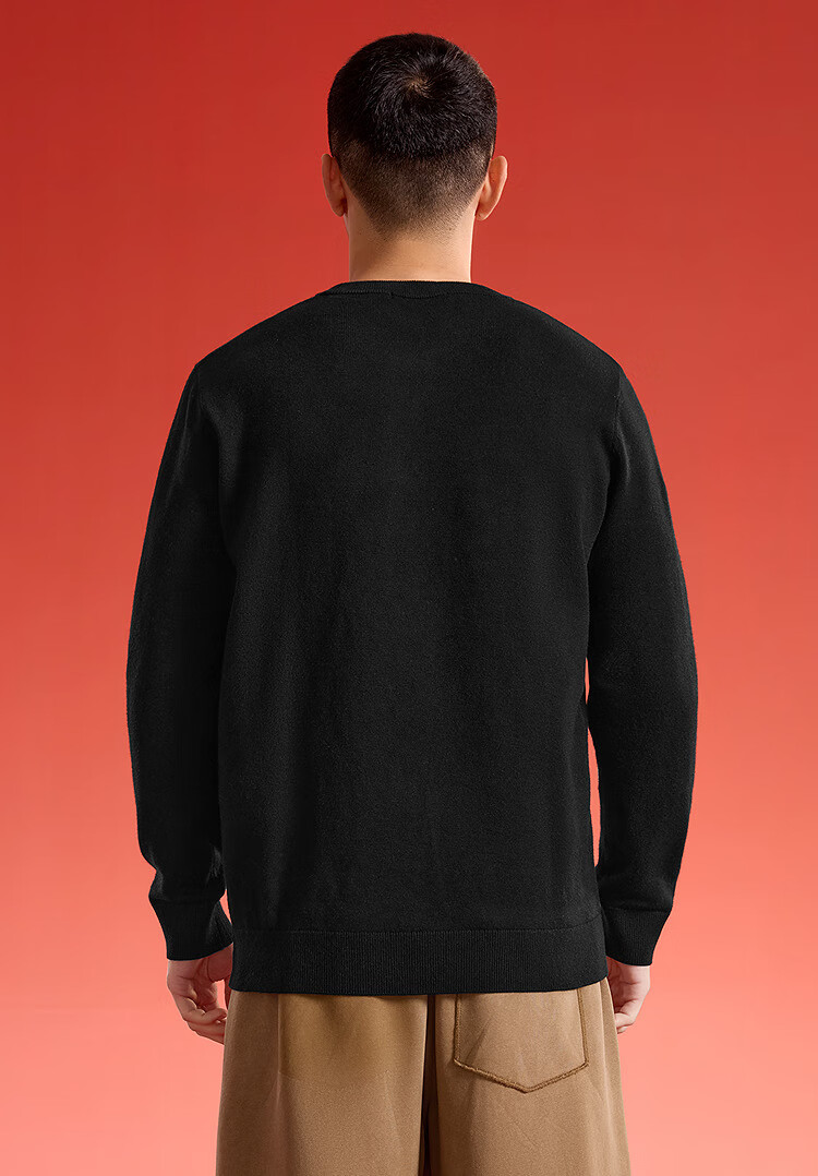 HLAHLA Men's Long Sleeve Knitted Sweater Autumn 2025 Year of the Horse Embroidered Sweater 5