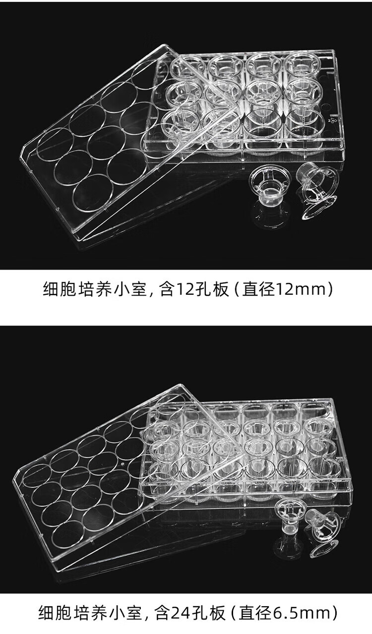 bf53376bb4132e91.jpg