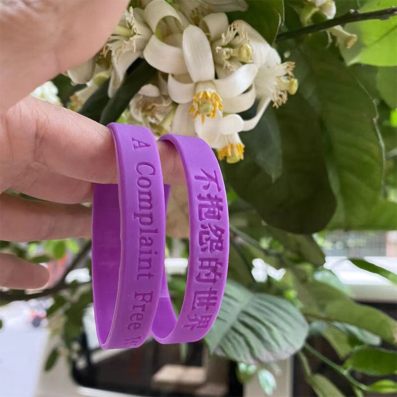 不抱怨的世界紫色手环抑郁症手环硅胶手环毕业高考中考加油小礼物 3个
