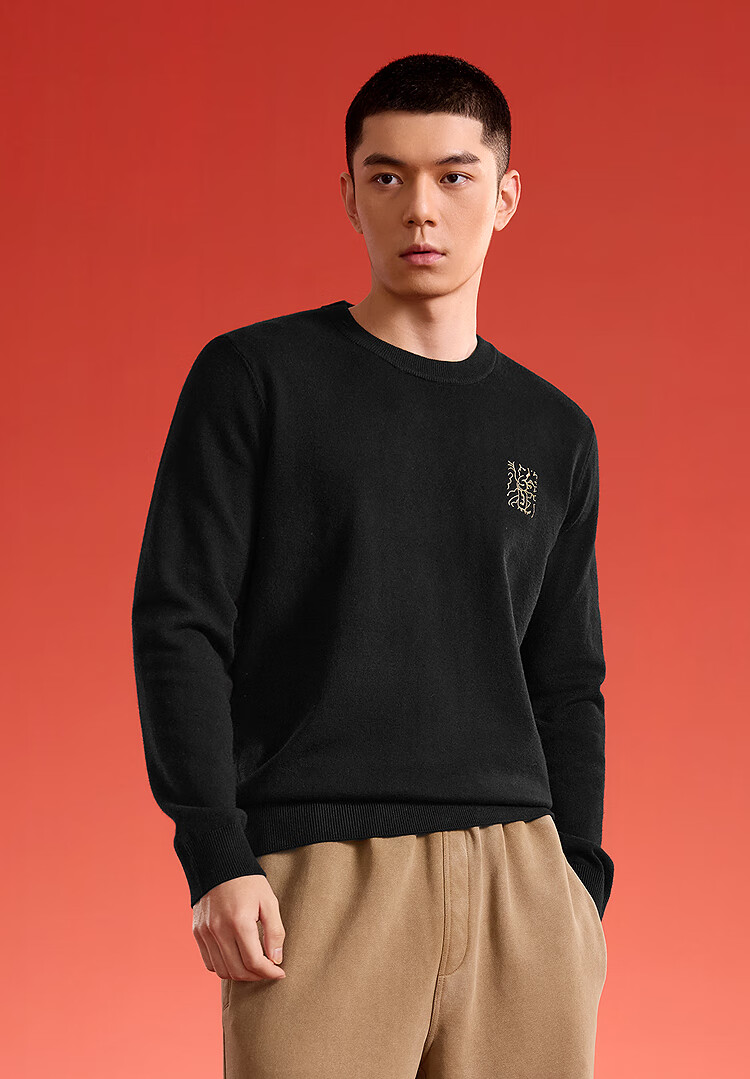HLAHLA Men's Long Sleeve Knitted Sweater Autumn 2025 Year of the Horse Embroidered Sweater 3