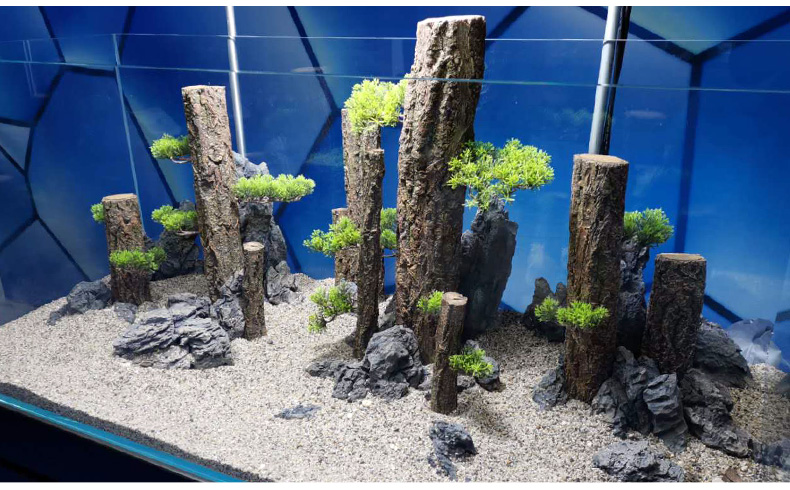 鱼缸仿真树干直条沉木水草树根雨林造景树皮杜鹃根香槟树桩森林景tj