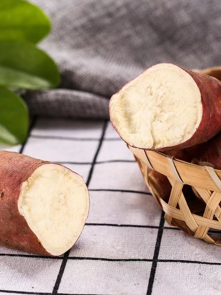 爆皮王红薯白心板栗薯面包王番薯广东自种粉香地瓜现挖1斤5斤1斤装大