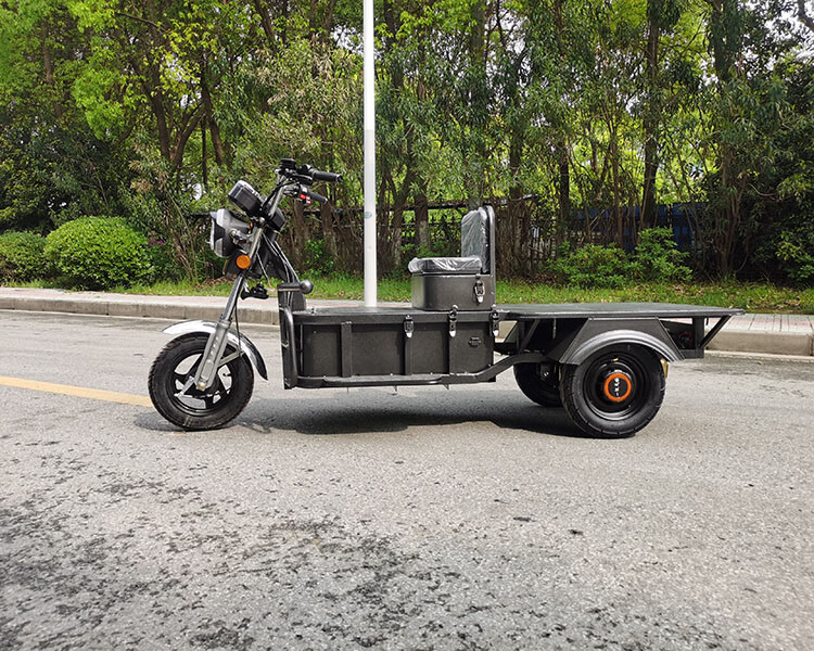 巨霸新款载重王三轮车大力神电动车送快递车拉货载货60-72v专用车