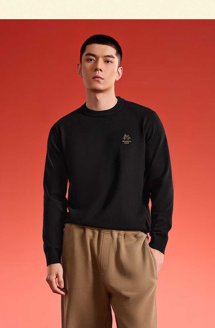 HLAHLA Men's Knitted Sweater 25 Year of the Horse New Year Series Crew Neck Printed Sweater Autumn 5