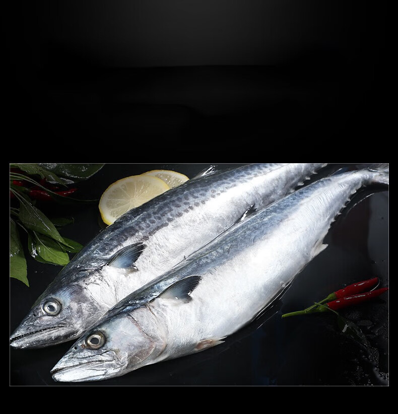 果亦橙大鲅鱼新鲜活马鲛鱼鲐鲅鱼青花鱼海鲜马交鱼生鲜 8斤【图片