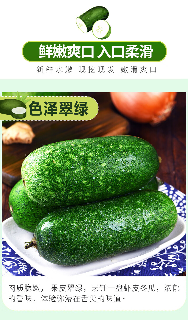 新鲜小冬瓜青皮蔬菜农家有机种植毛节瓜整箱毛节瓜单个34斤生鲜团购