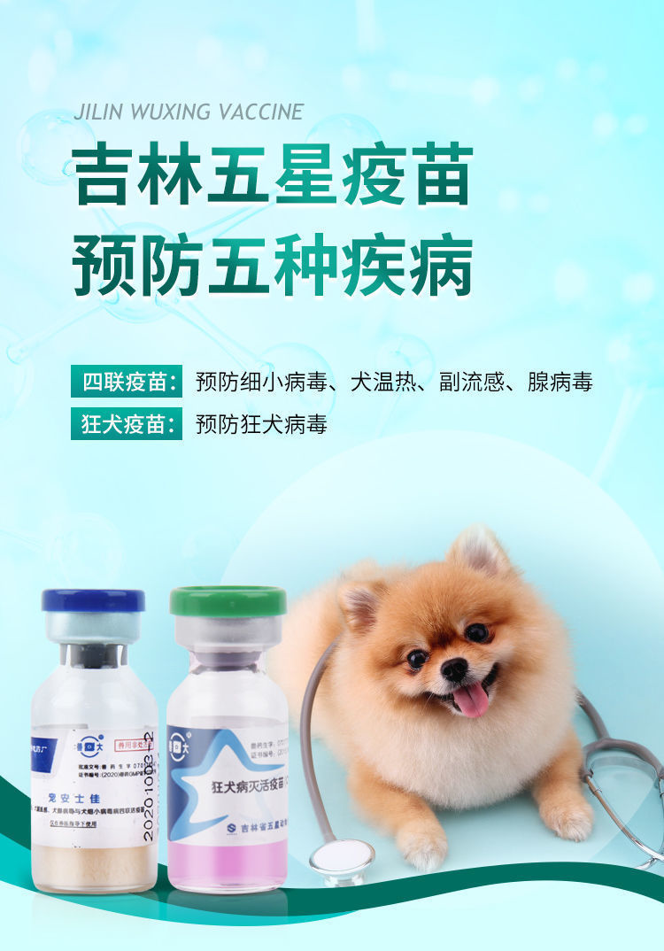 英特威3支 狂犬1支(注射用具)【图片 价格 品牌 报价】-京东