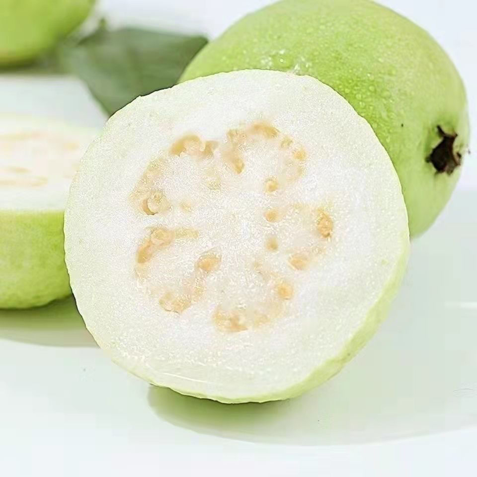 广东茂名新安新鲜芭乐白心番石榴清脆果园直供现摘 带箱5斤(精选中果