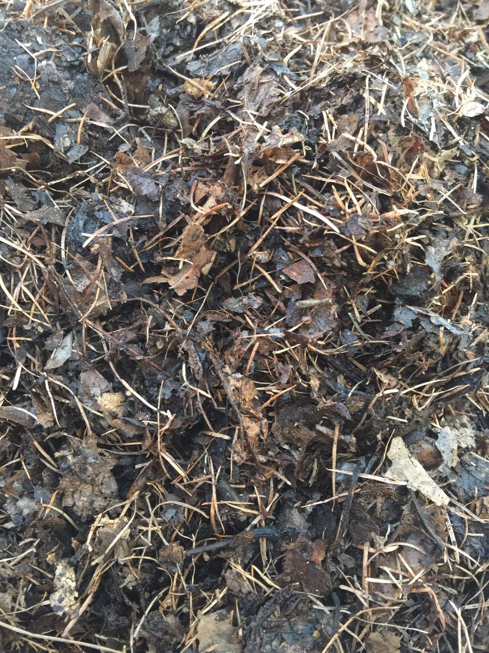 纳丽雅(naliya) 长春君子兰营养土 腐蚀土 腐质橡树叶松针腐叶土