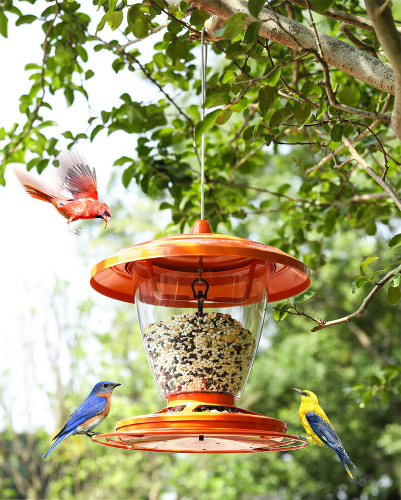 小鸟自动喂食器 自动喂鸟器阳台户外庭院布施防雨野外鸽子喂食器小鸟