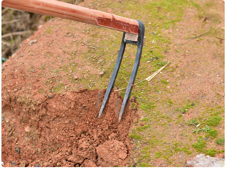 农用手工锻打锄头翻地松土工具种菜家用挖地多功能锰钢二齿锄耙子 锻