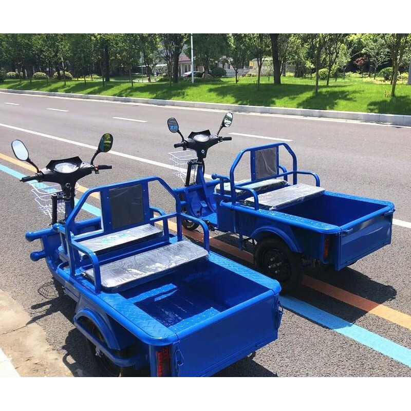 三轮车同款摆摊改装电动拉货小型家用电瓶地摊货运平板车成人代步接