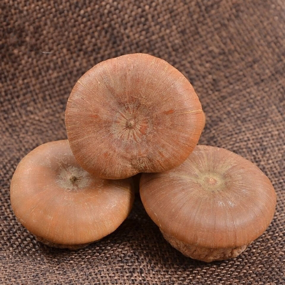 风流果野生子印度天竺粒厚鳞柯掉藤果男性风流果泡酒料益肾子益补萃