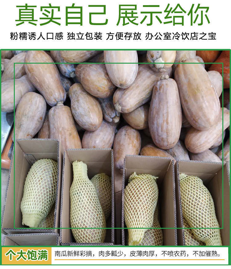 海南老南瓜蜜本南瓜板栗寶寶農家自種新鮮蔬菜粗糧5斤45斤