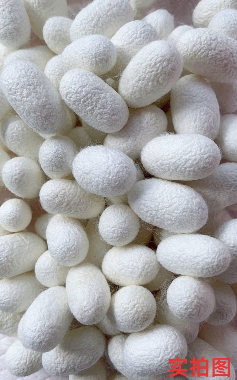 蚕茧天然完整农家桑蚕茧带蚕蛹烘干入药子diy抽丝球茧美容无漂 烘干