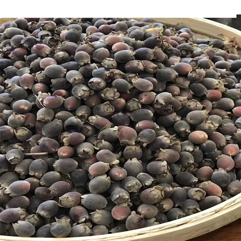 大山野生山稔子 捻子果 晒干500g姚金娘现货泡酒佳品