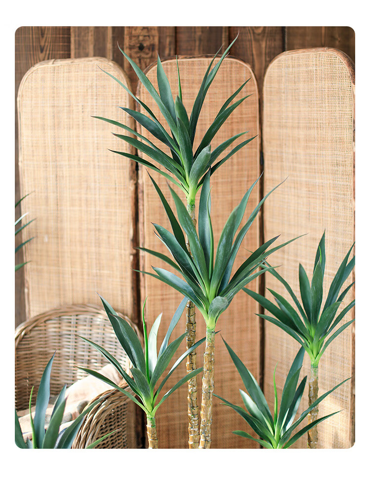 北欧仿真剑麻铁树植物盆栽装饰仿生绿植假树室内橱窗造景家居摆件孔雀