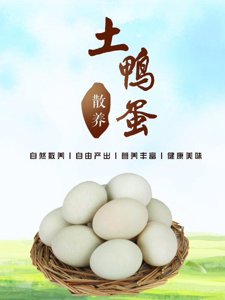 冷链运输新鲜生鸭蛋农家生鲜放养青皮白皮土鸭蛋大个现捡现发生态罗莫