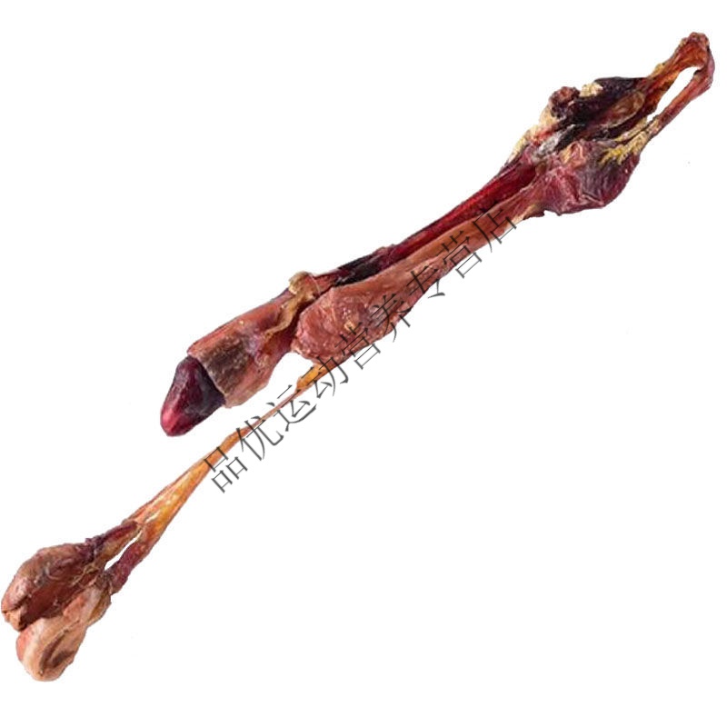 正宗海狗鞭海狗肾男人煲汤泡酒男性狗鞭狗肾干货滋补品批发 海狗鞭