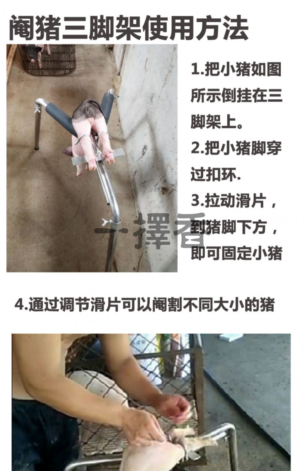 不锈钢阉猪三脚架阉猪3脚架加高加厚版