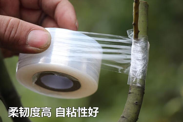 嫁接膜自粘式嫁接带薄膜苗木塑料薄膜胶带无需打结果树3cm嫁接膜50个