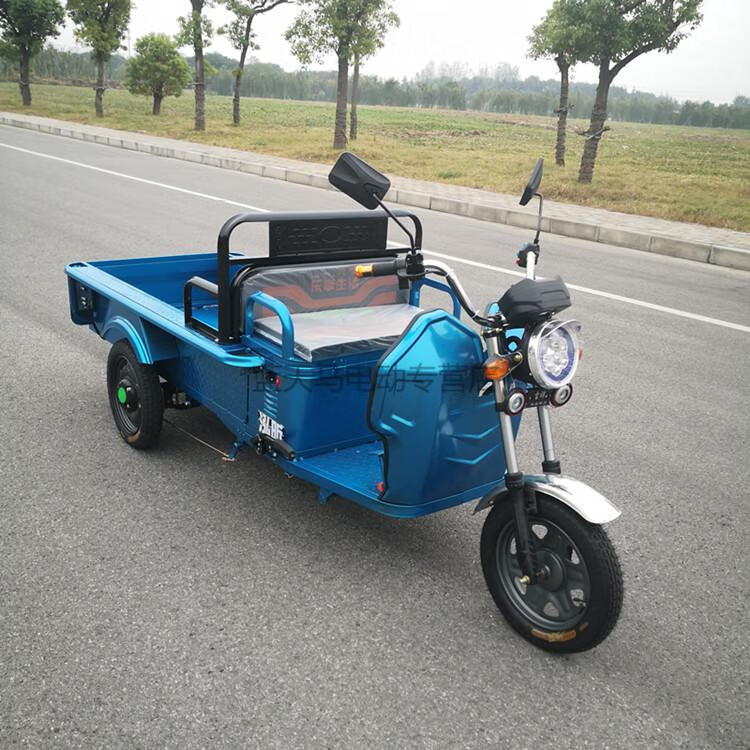 电动三轮车货运家用载货休闲成人拉货农用快递电瓶车接送孩子陡坡版12