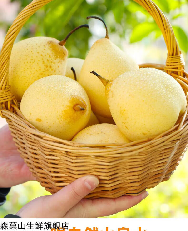 河北泊头的鸭梨 水晶梨薄皮产地直发新鲜梨子水果新鲜整箱梨子 5斤