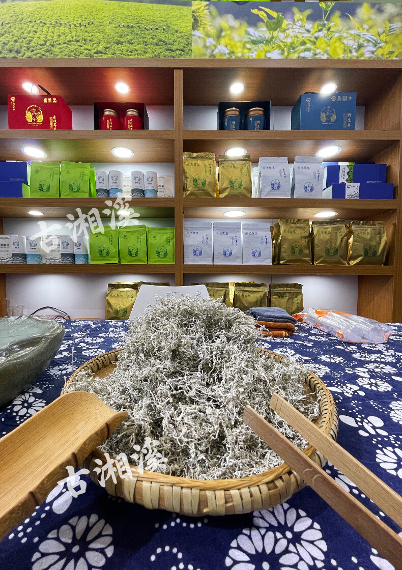 莓茶湘西土家特产永顺龙须莓茶嫩芽尖春河坝溪张家界.莓茶 永顺.